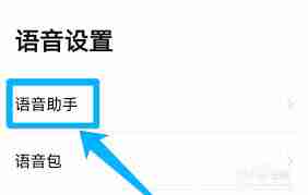 高德地图导航语速如何设置-高德地图导航调整语速方法