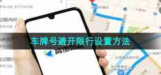 高德地图如何设置车牌号避开限行-高德地图设置车牌避限行教程