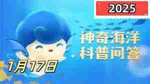 海洋动物种类盘点-哪种海洋动物是国家一级保护动物