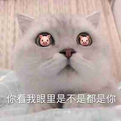 这就是你们男人喜欢的S型身材表情包