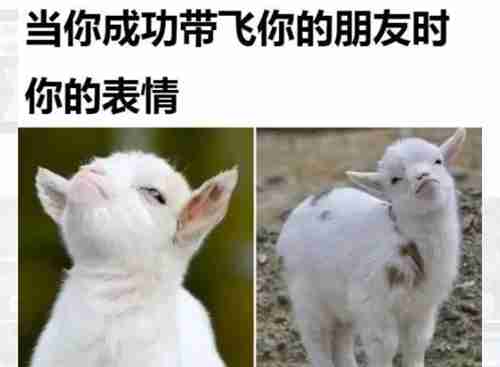 当你成功带飞你的朋友时表情包