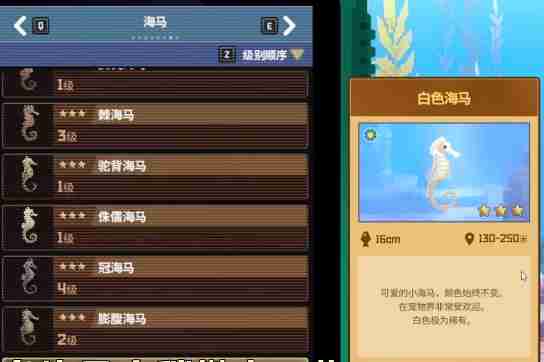 潜水员戴夫海马在哪里