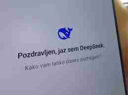 探索DeepSeek背后的秘密-DeepSeek隐藏的国家信息