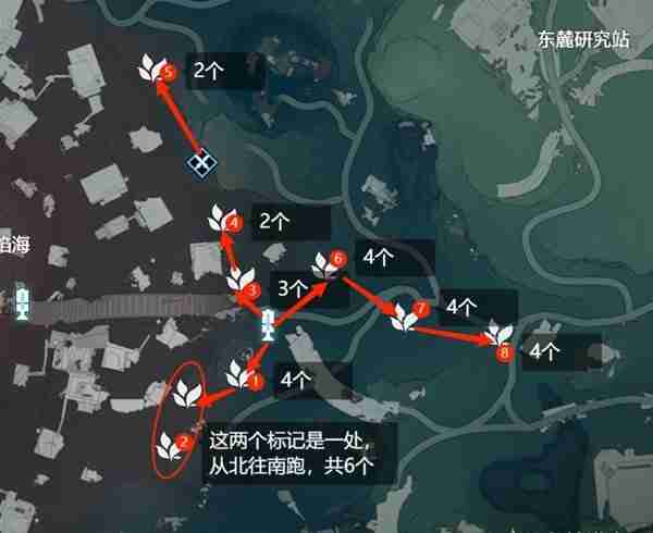 《鸣潮》妙弋花点位分享-妙弋花采集线路推荐