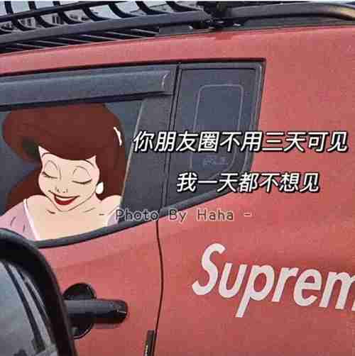 只有惯着我的人 才有资格管我图片