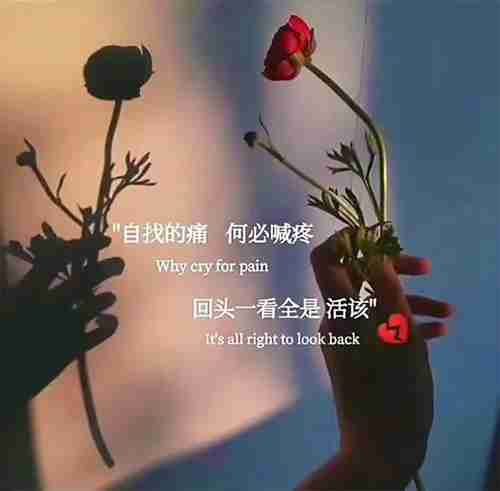 前世若无相欠 今生怎么会相见图片