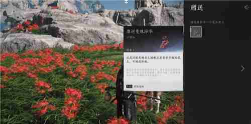 燕云十六声武林录探索任务花中愿怎么做