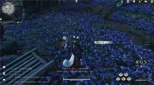 燕云十六声武林录探索任务业火不熄怎么做