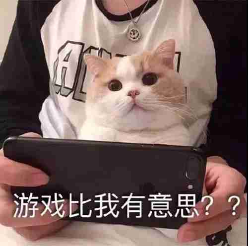 游戏比我有意思表情包