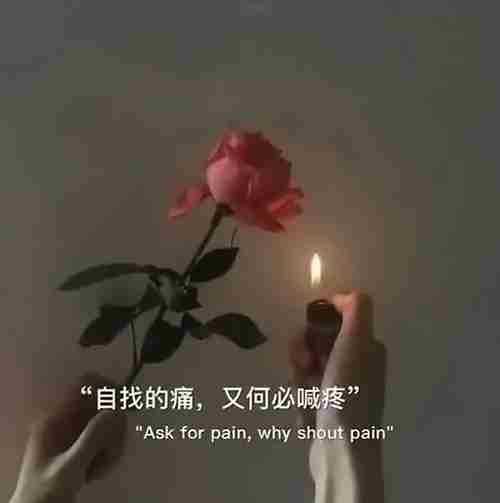 把所有不确定的人归还于人海图片