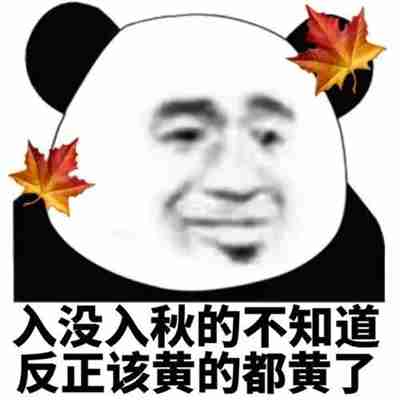 我发誓我再也不喝酒了如果我在喝我就在发誓表情包