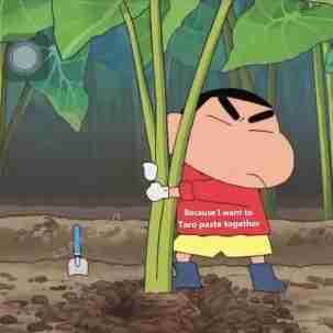 这句话我撂这儿了你自己想办法表情包