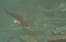 潜水员戴夫邓氏鱼在哪里