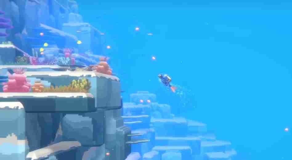 潜水员戴夫黄高鳍刺尾鱼在哪抓