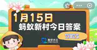 我国哪种非遗工艺被誉为东方古老的艺术之花-探索我国非遗工艺中被誉为东方艺术之花的独特魅力