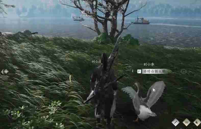 燕云十六声武林录探索任务大鹅争锋怎么做