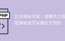 比亚迪孙华军：规模化之后，固液电池可以接近于同价