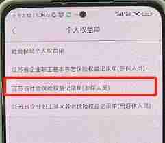 江苏智慧人社操作指南-如何拉取社保清单明细