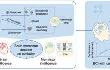 我国科学家实现“双环路”脑机“互学习”新突破
