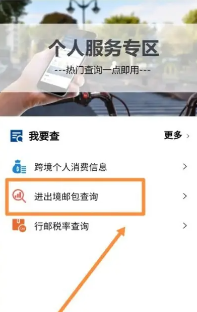 掌上单一窗口怎么查快递 掌上单一窗口查快递方法