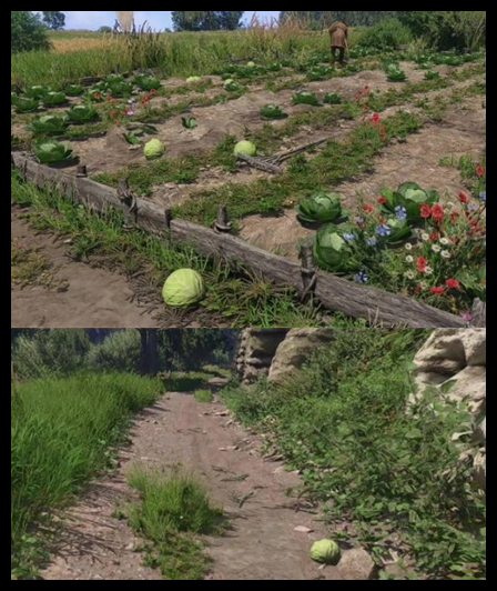 天国拯救2卷心菜贼怎么找