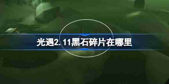 光遇2.11黑石碎片在哪里-光遇2月11日黑石碎片位置攻略