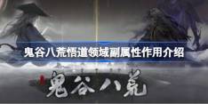 鬼谷八荒悟道领域副属性作用介绍-鬼谷八荒悟道领域副属性有什么作用
