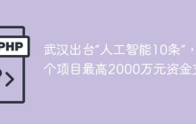 武汉出台“人工智能10条”，单个项目最高2000万元资金支持