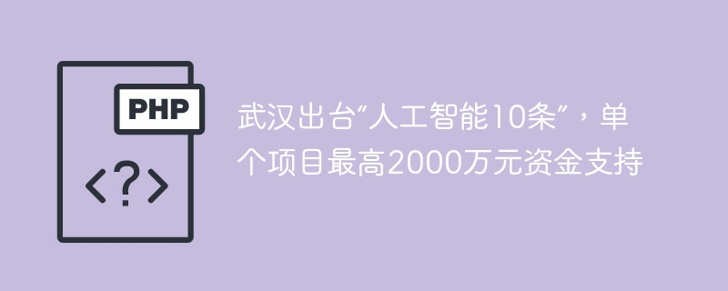武汉出台“人工智能10条”，单个项目最高2000万元资金支持