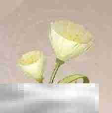 无限暖暖采集物风絮草获得地点 风絮草采集区域