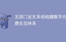 五部门发文系统构建数字化消费生态体系
