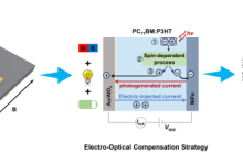 有机自旋电子器件磁响应信号调控研究获进展