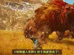 怪物猎人荒野ps5和pc联机方法-怪物猎人荒野能否跨平台一起玩