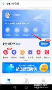 支付积分多久就会失效