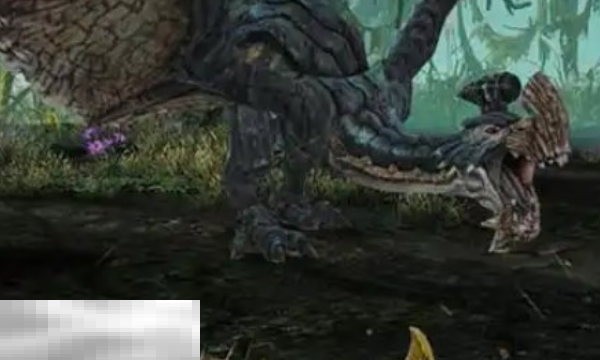 怪物猎人荒野毒怪鸟攻略 怪物猎人荒野毒怪鸟怎么打