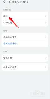 荣耀50pro手机有指纹解锁吗