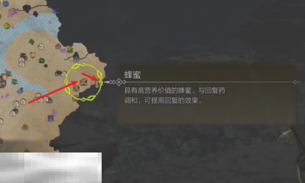 怪物猎人荒野营地位置一览 怪物猎人荒野全营地位置在哪
