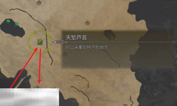 怪物猎人荒野营地位置一览 怪物猎人荒野全营地位置在哪