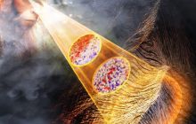 光热敏感VO₂高精度（~10με/200nm）应变分布表征