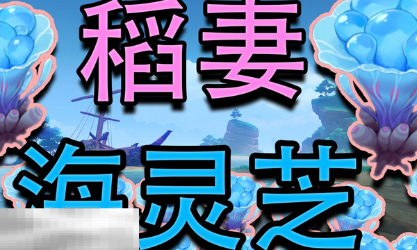 原神海灵芝在哪里 海灵芝采集大全