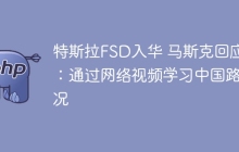 特斯拉FSD入华 马斯克回应：通过网络视频学习中国路况