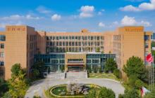 产能尚待释放，长阳科技2024年净利润同比大跌78.46%