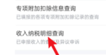 个人所得税app如何查询年收入纳税明细