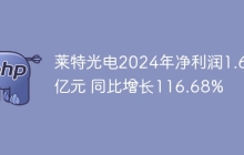 莱特光电2024年净利润1.67亿元 同比增长116.68%