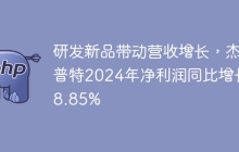 研发新品带动营收增长，杰普特2024年净利润同比增长28.85%