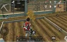 明日之后如何高效种植农作物-明日之后农作物种植技巧与攻略