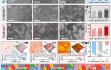 中国科大谈鹏团队在水系锌基电池领域取得重要进展