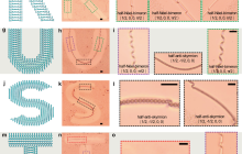 中国科大揭示液晶斯格明子拓扑结构转换驱动胶体自组装新机制