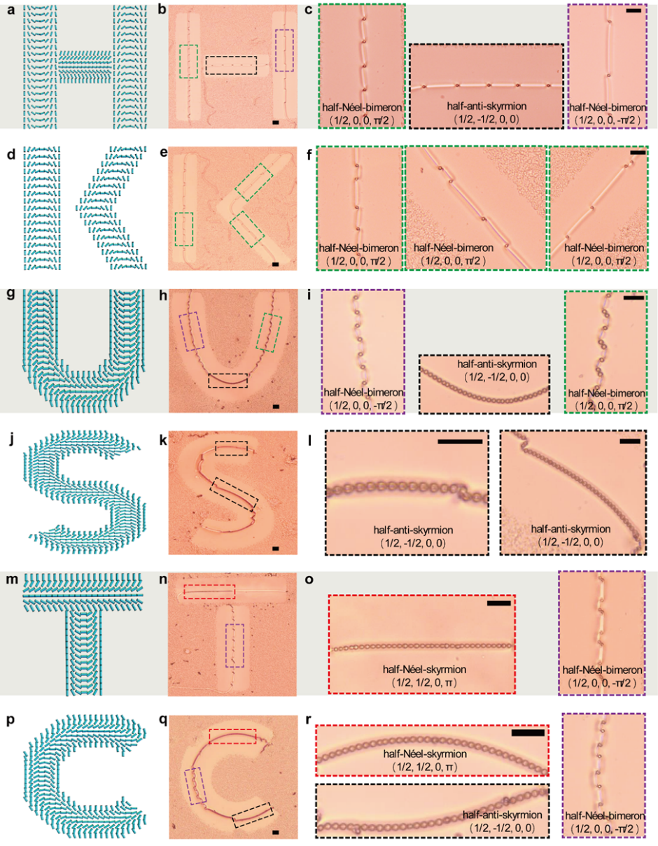 中国科大揭示液晶斯格明子拓扑结构转换驱动胶体自组装新机制
