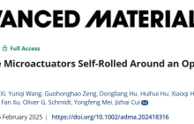 复旦大学材料科学系课题组设计出具有超快响应和大弯曲角度的光波导微型驱动器